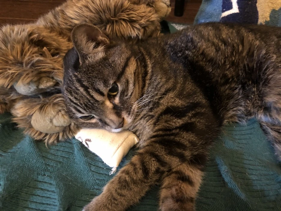 IMG_1548.JPG?type=w1