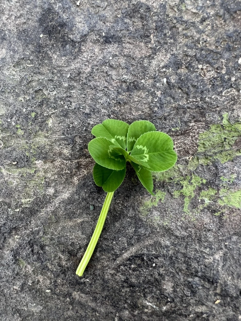 2024_04_21_15_59_IMG_8510.JPG?type=w1