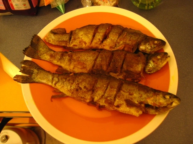 에리나의 송어요리.JPG