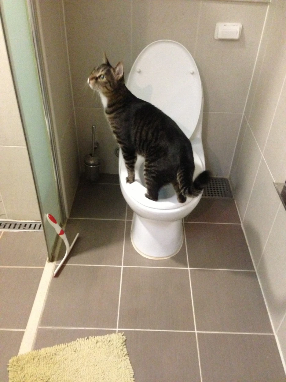 2013%EB%B4%84%EC%97%AC%EB%A6%84_023.jpg?type=w1