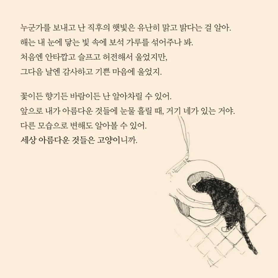 IMG_2052.jpeg?type=w1