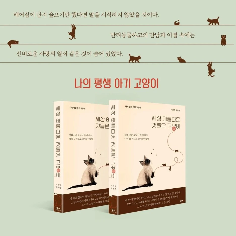 IMG_2054.jpeg?type=w1