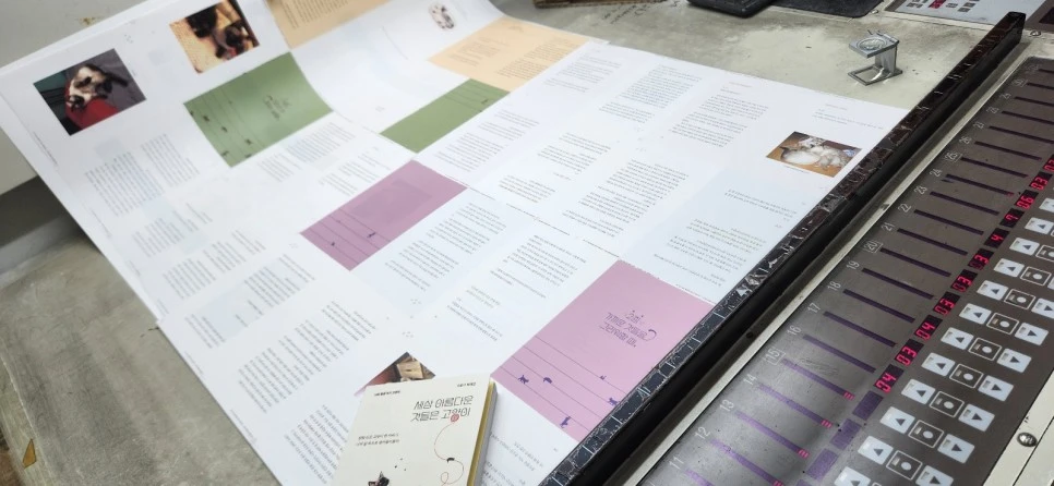 2023_06_07_16_01_IMG_1788.JPG?type=w966