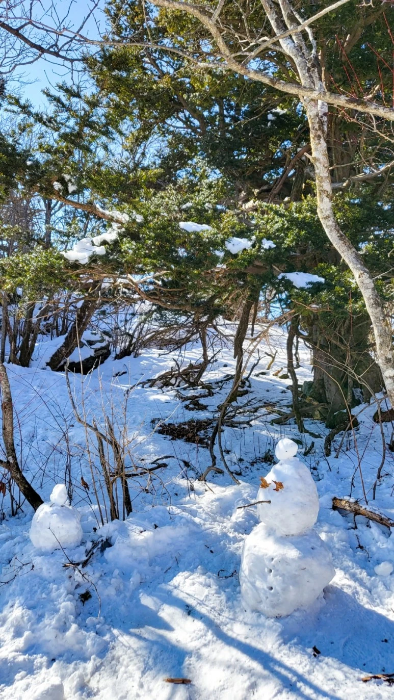 20230204%EF%BC%BF141034.jpg?type=w773