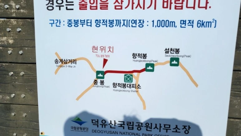 20230204%EF%BC%BF142240.jpg?type=w773