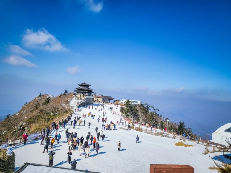 20230204%EF%BC%BF131729.jpg?type=w773