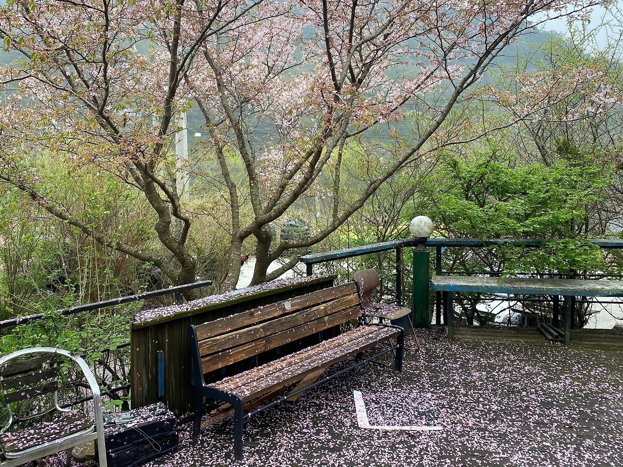 KakaoTalk_Photo_2023-04-09-22-53-42 007.jpeg