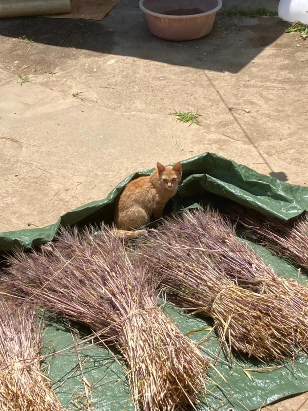 KakaoTalk_Photo_2023-09-18-22-14-47 015.jpeg