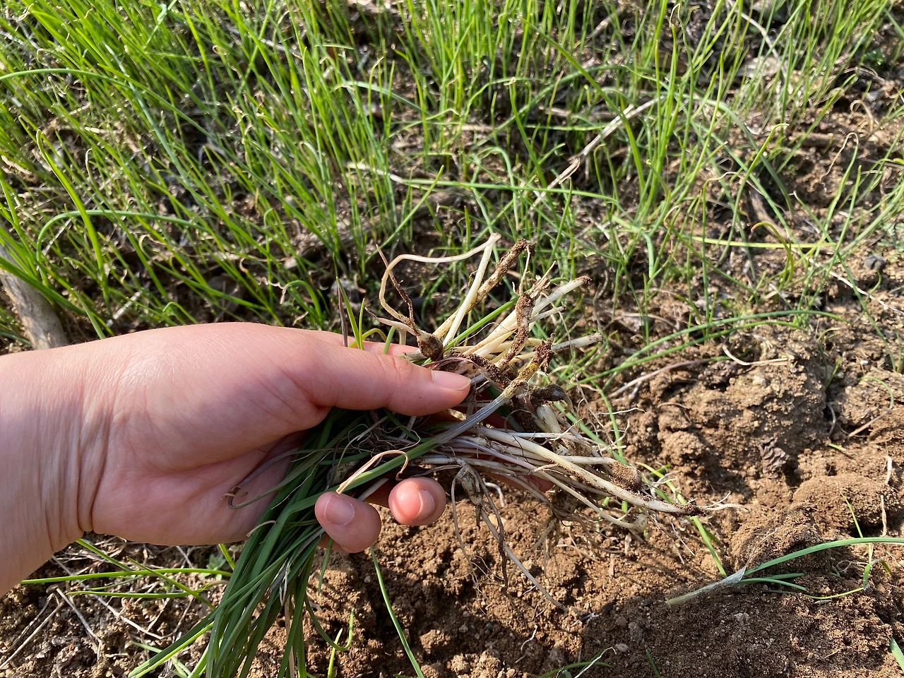 KakaoTalk_Photo_2023-03-19-21-44-27 003.jpeg