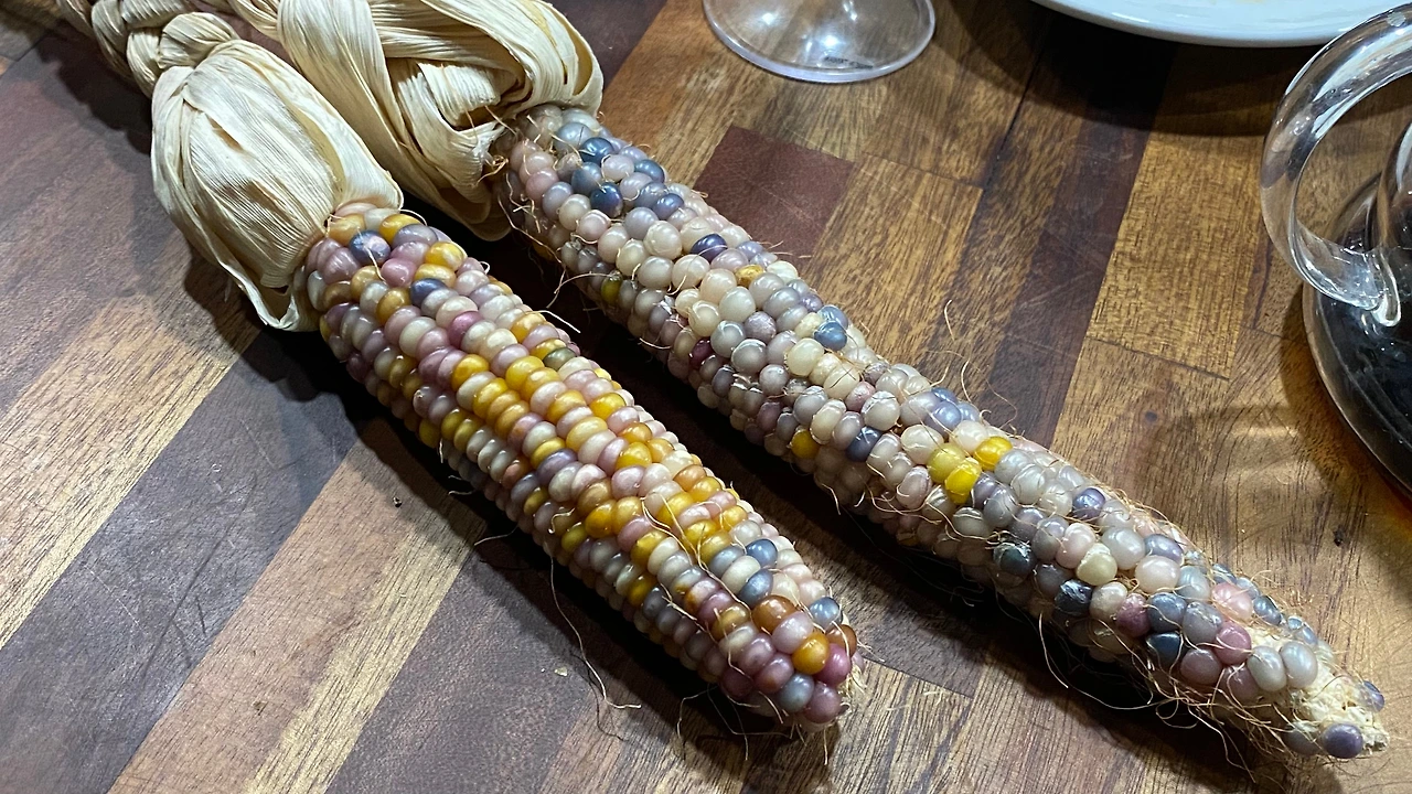 KakaoTalk_Photo_2023-05-14-23-14-37 008.jpeg