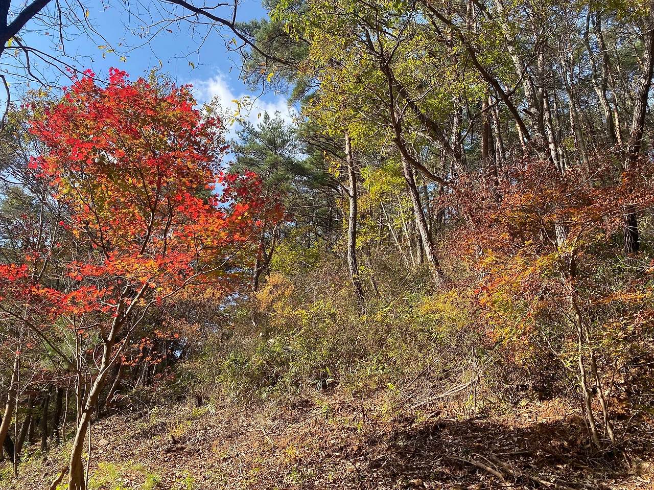 KakaoTalk_Photo_2023-11-22-18-21-33 010.jpeg