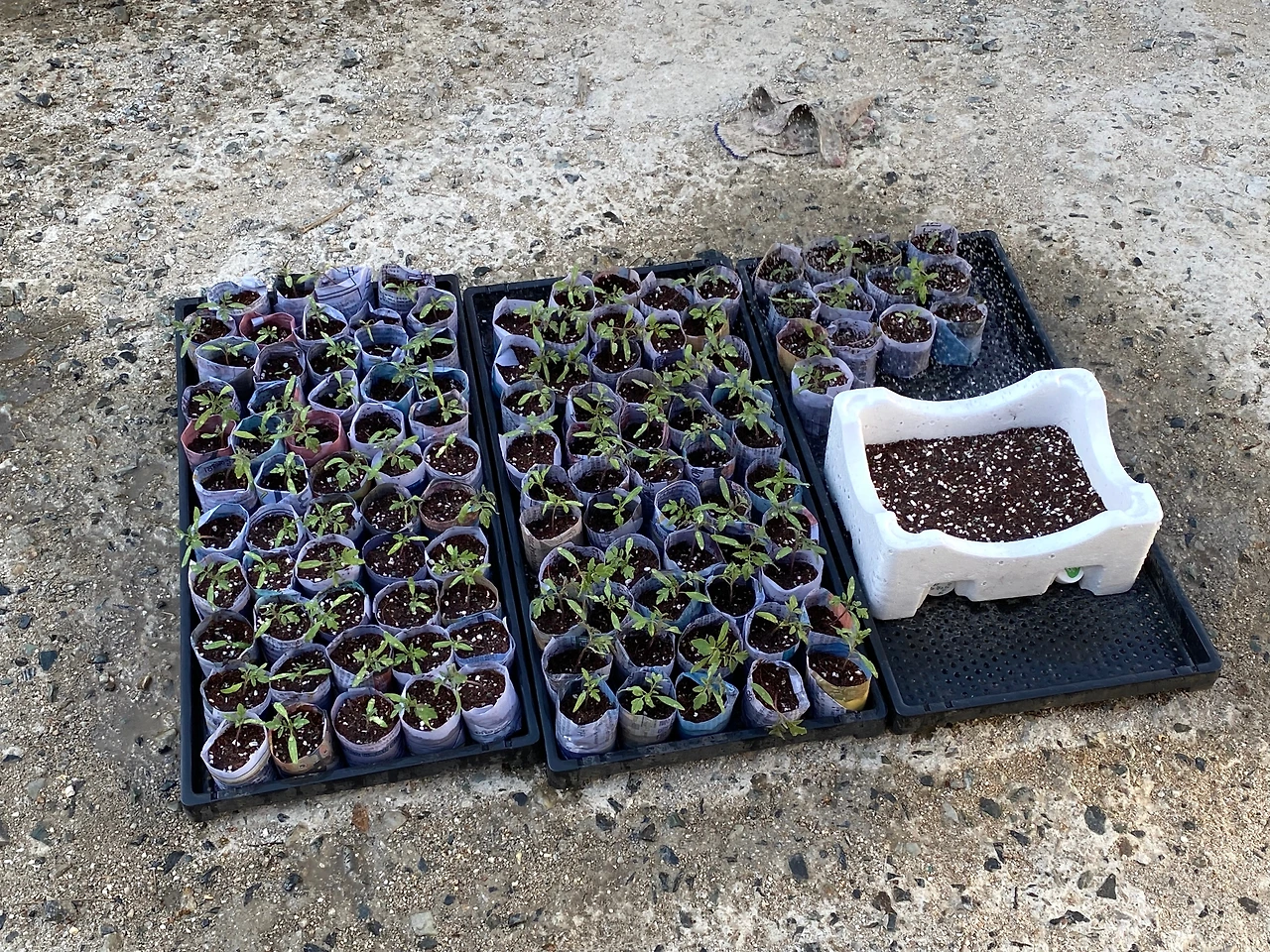 KakaoTalk_Photo_2023-04-09-22-53-40 001.jpeg