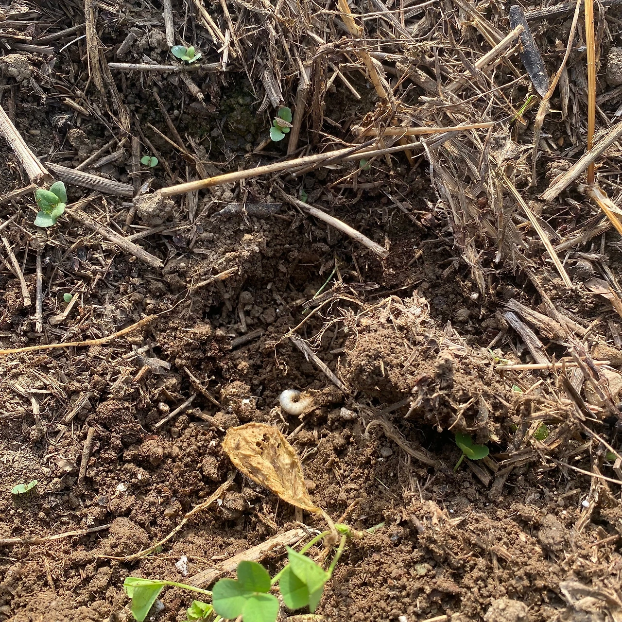 KakaoTalk_Photo_2023-09-11-22-15-05 020.jpeg