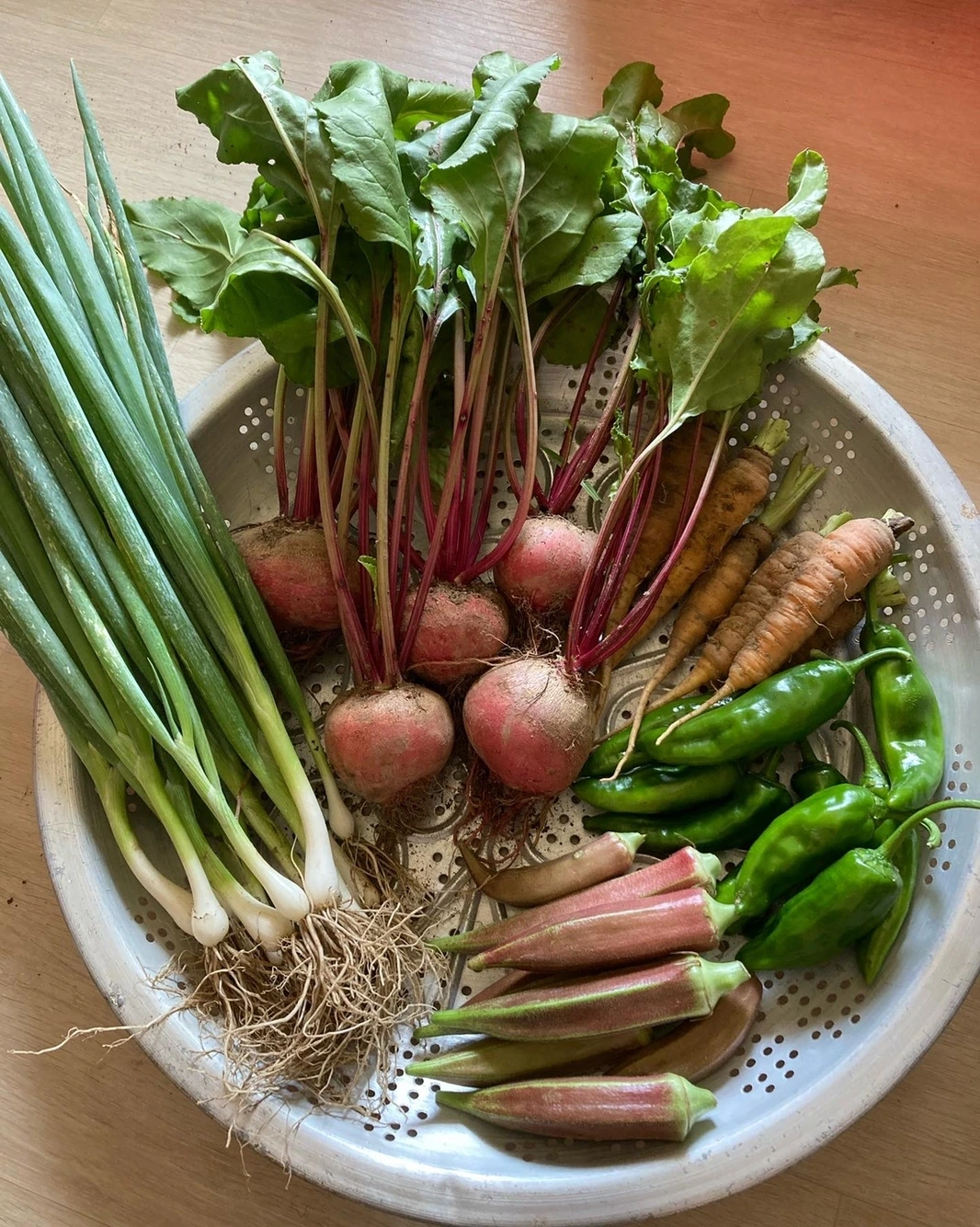 KakaoTalk_Photo_2023-09-18-22-14-47 011.jpeg