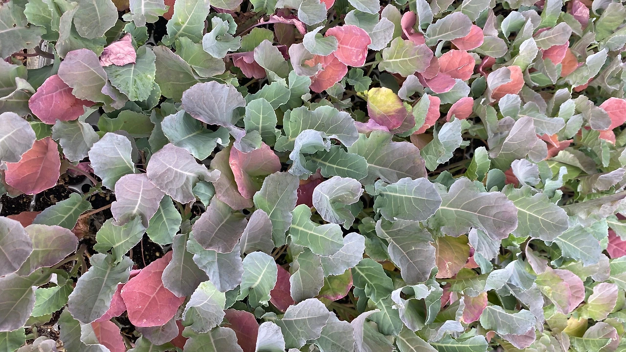 KakaoTalk_Photo_2023-05-14-23-14-35 007.jpeg