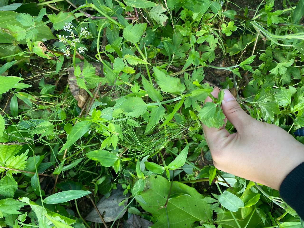 KakaoTalk_Photo_2023-08-13-19-11-38 006.jpeg