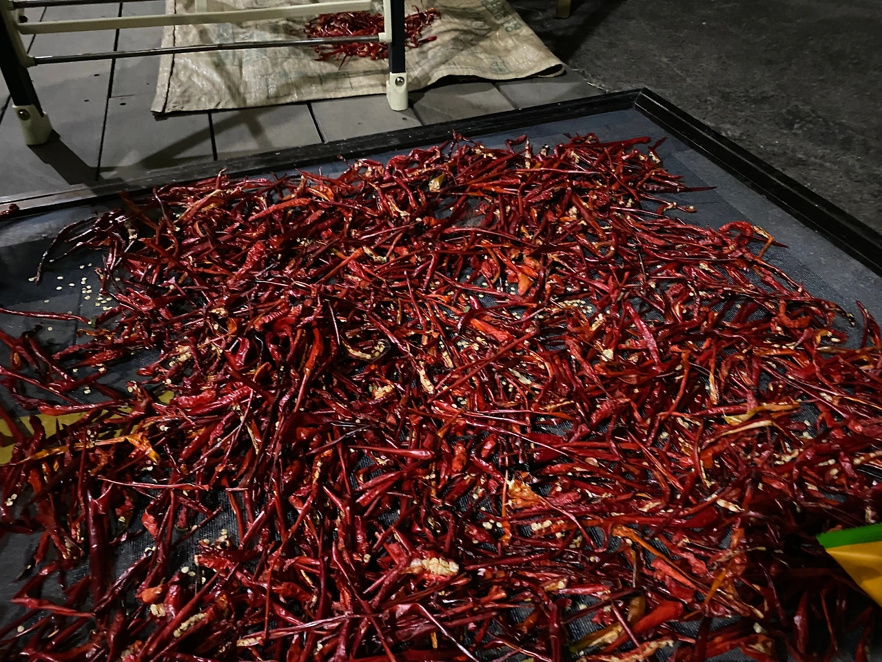 KakaoTalk_Photo_2023-10-02-22-56-33 002.jpeg