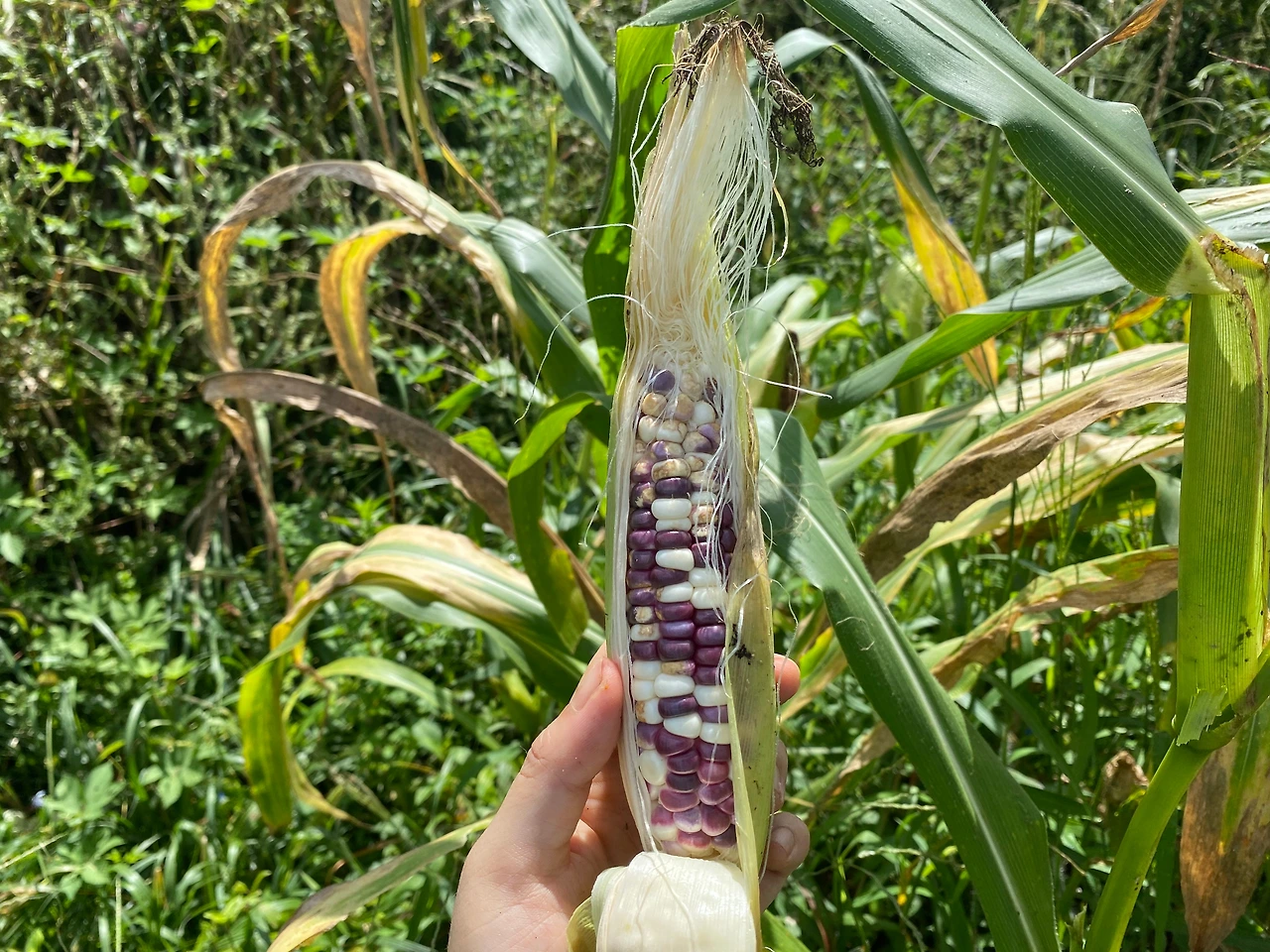 KakaoTalk_Photo_2023-09-11-22-15-06 022.jpeg