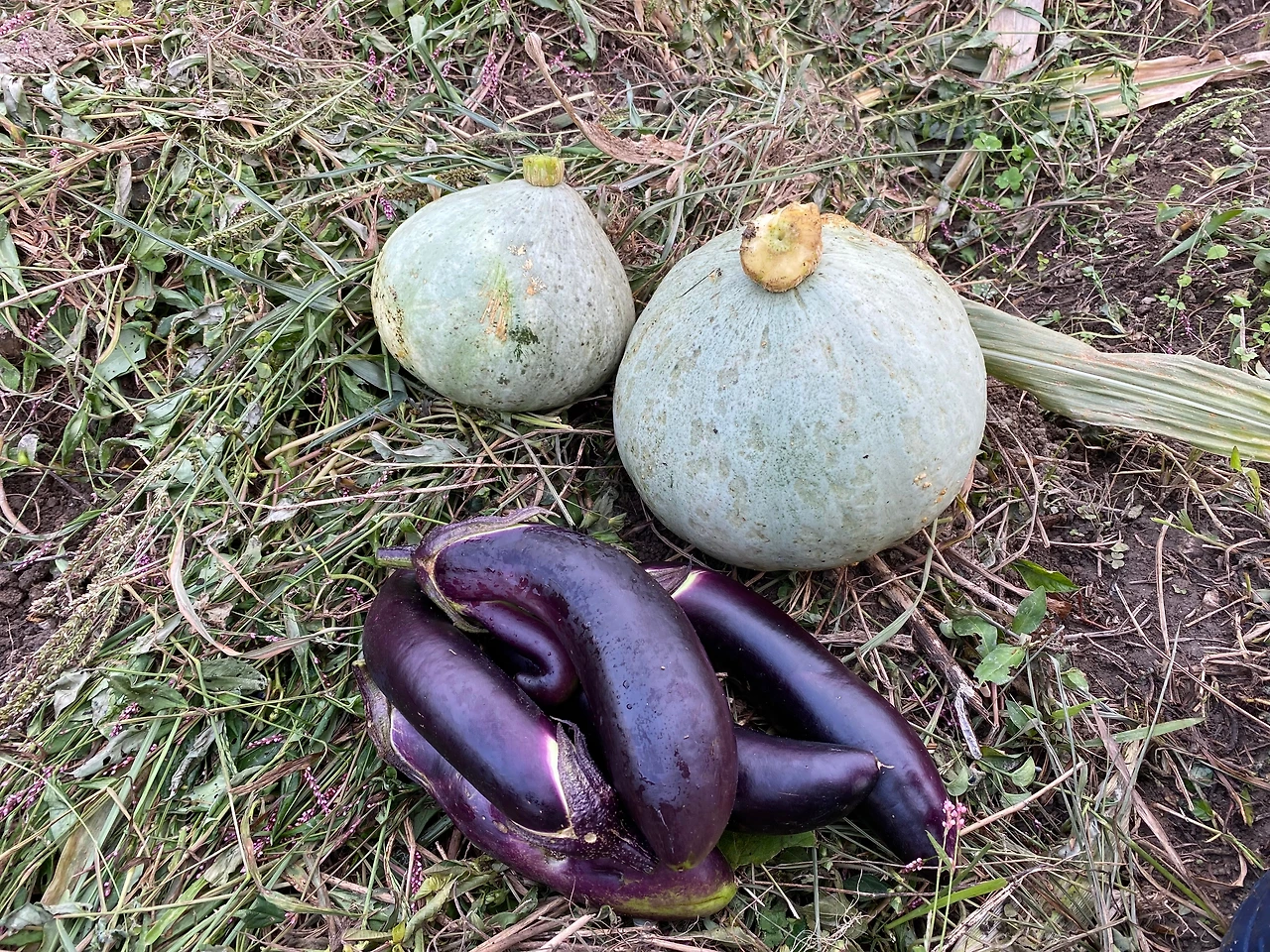 KakaoTalk_Photo_2023-10-02-23-03-15 010.jpeg