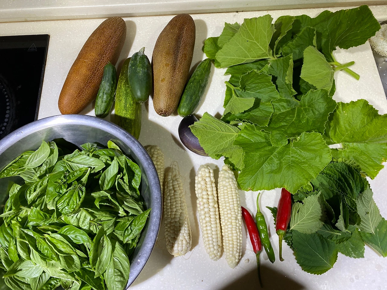 KakaoTalk_Photo_2023-08-29-23-31-45 003.jpeg