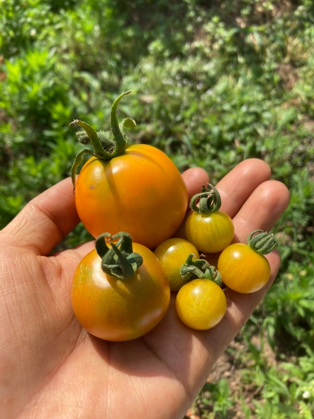 KakaoTalk_Photo_2023-09-18-22-14-47 013.jpeg