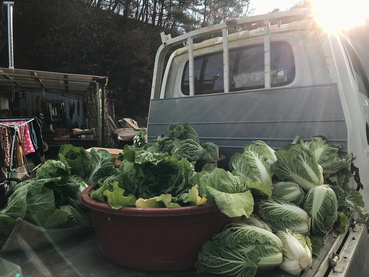 KakaoTalk_Photo_2023-12-22-16-54-10 002.jpeg