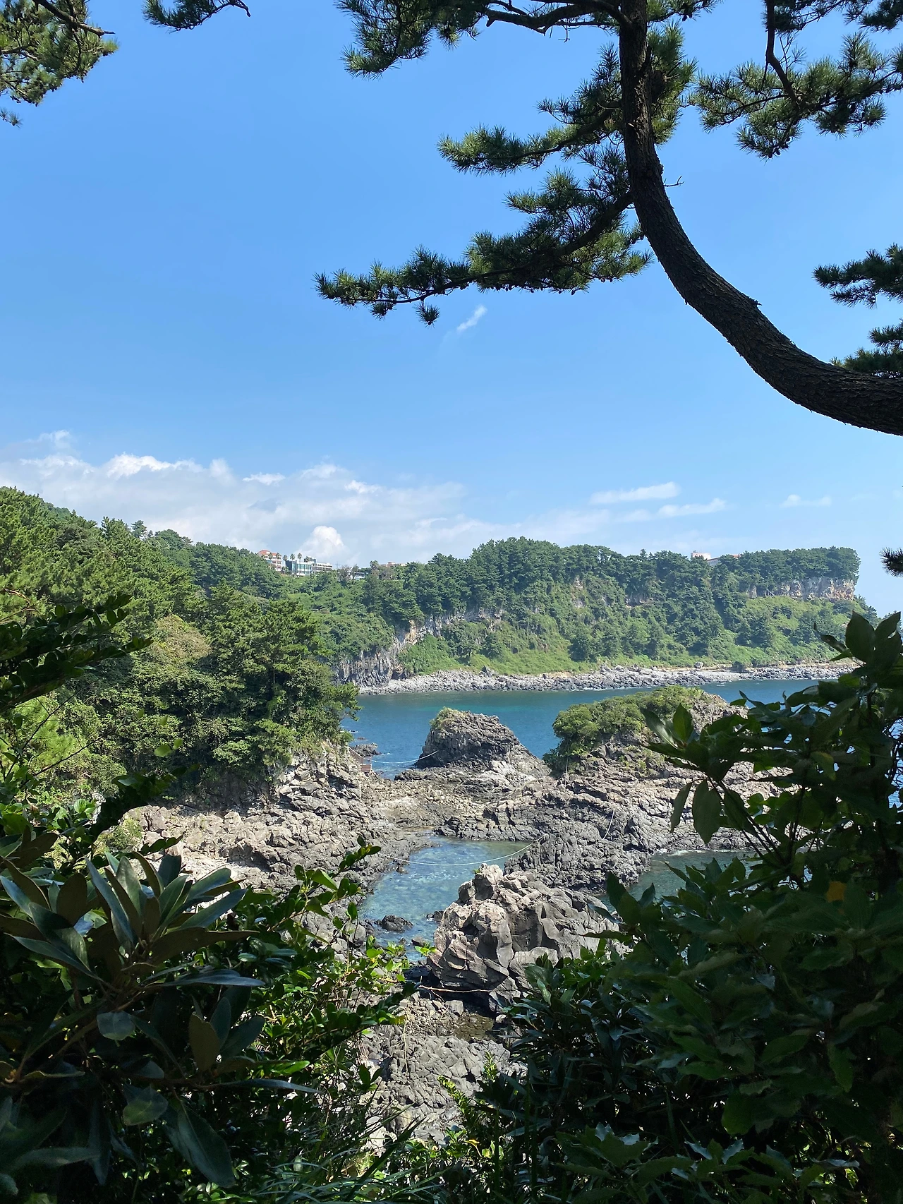 KakaoTalk_Photo_2023-10-02-22-54-48 004.jpeg