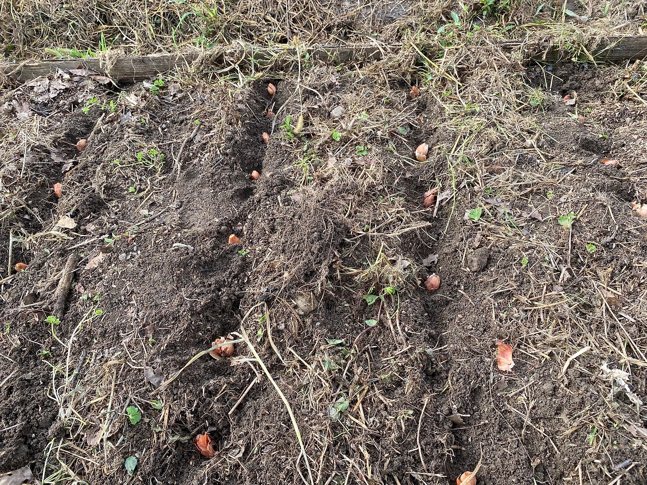 KakaoTalk_Photo_2023-09-11-22-15-10 026.jpeg