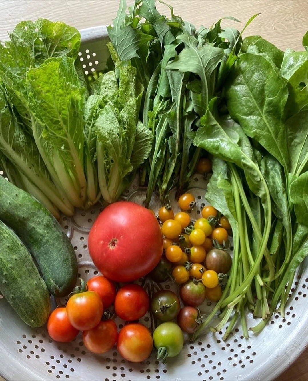 KakaoTalk_Photo_2023-09-18-22-14-47 010.jpeg