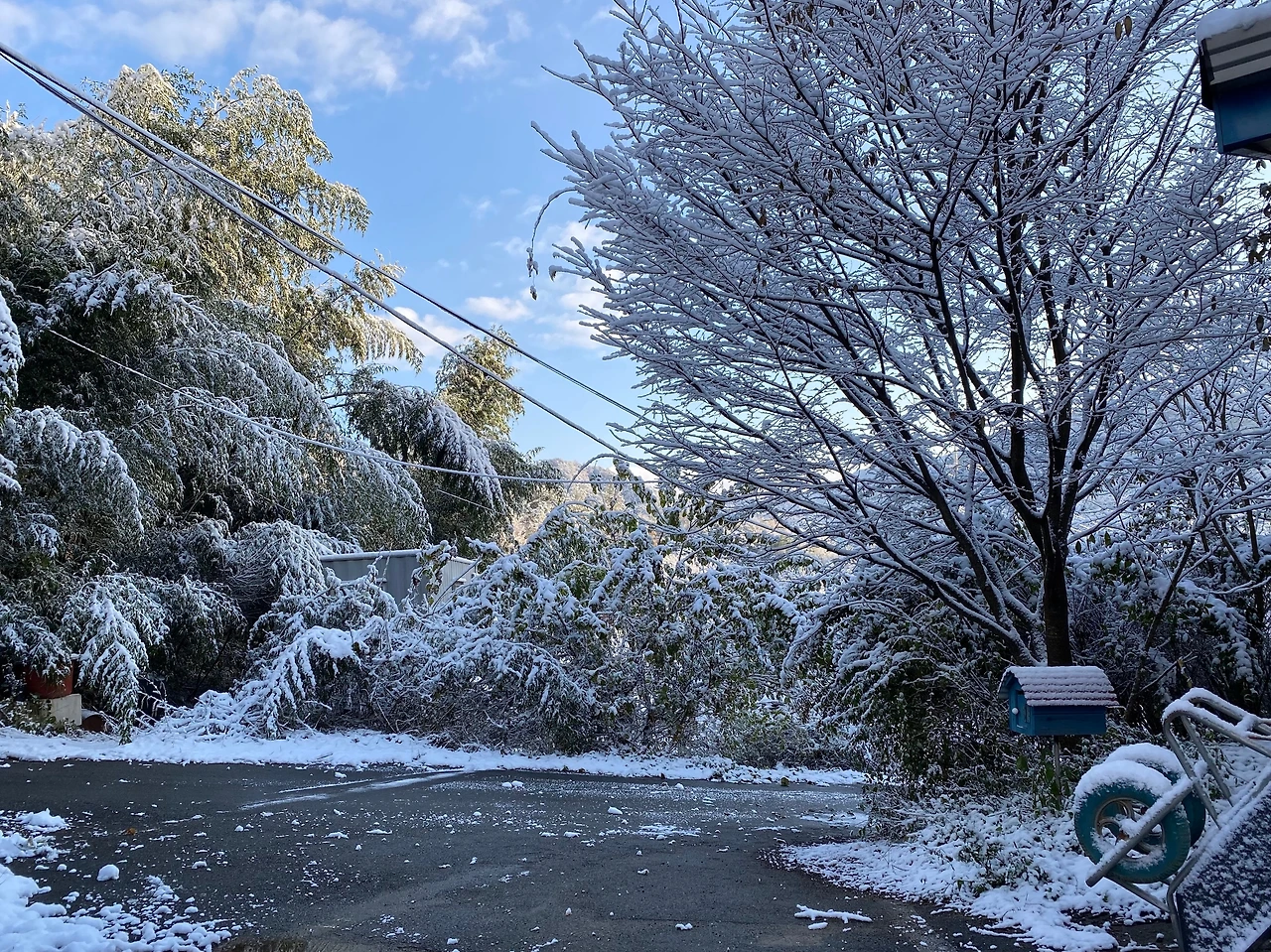 KakaoTalk_Photo_2023-11-22-18-21-32 008.jpeg