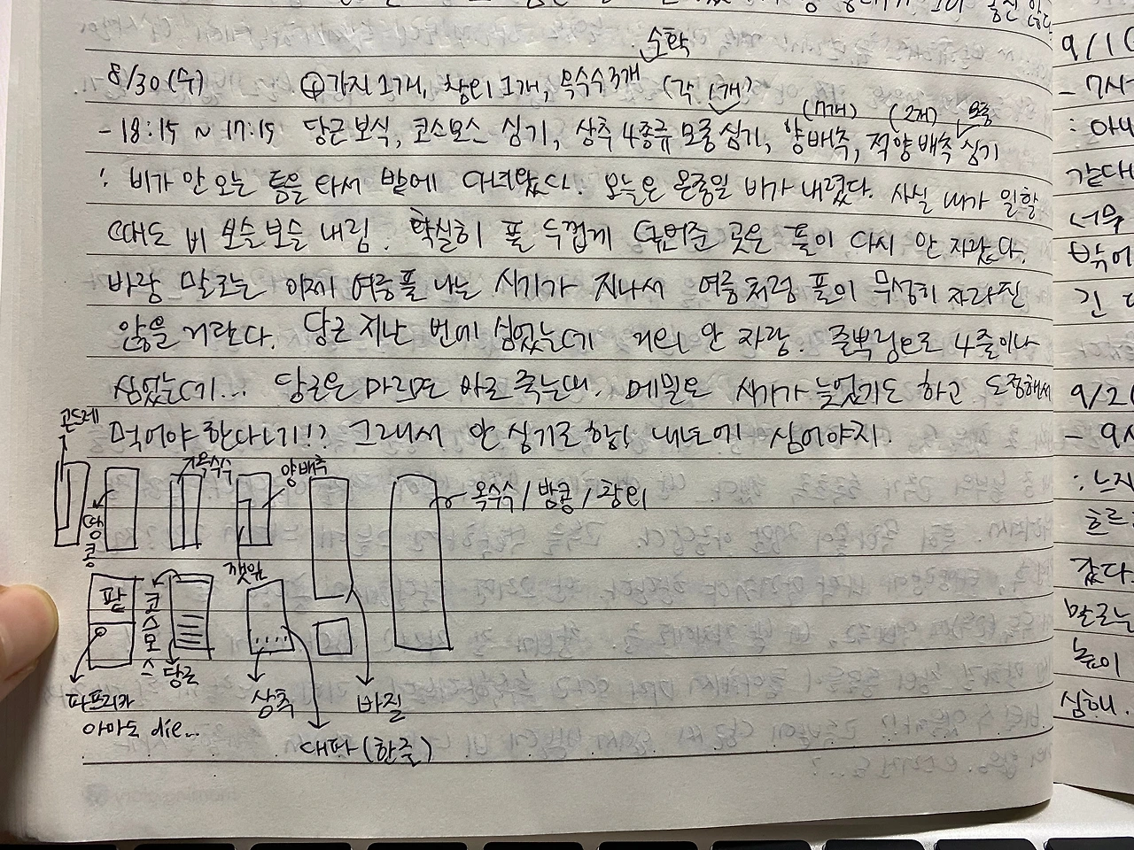 KakaoTalk_Photo_2023-09-11-23-00-00 002.jpeg