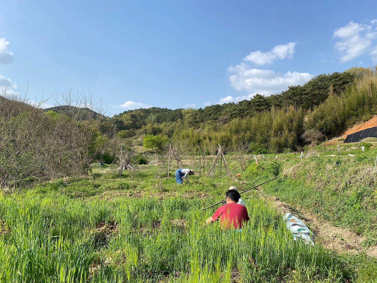 KakaoTalk_Photo_2023-04-23-23-39-03 007.jpeg