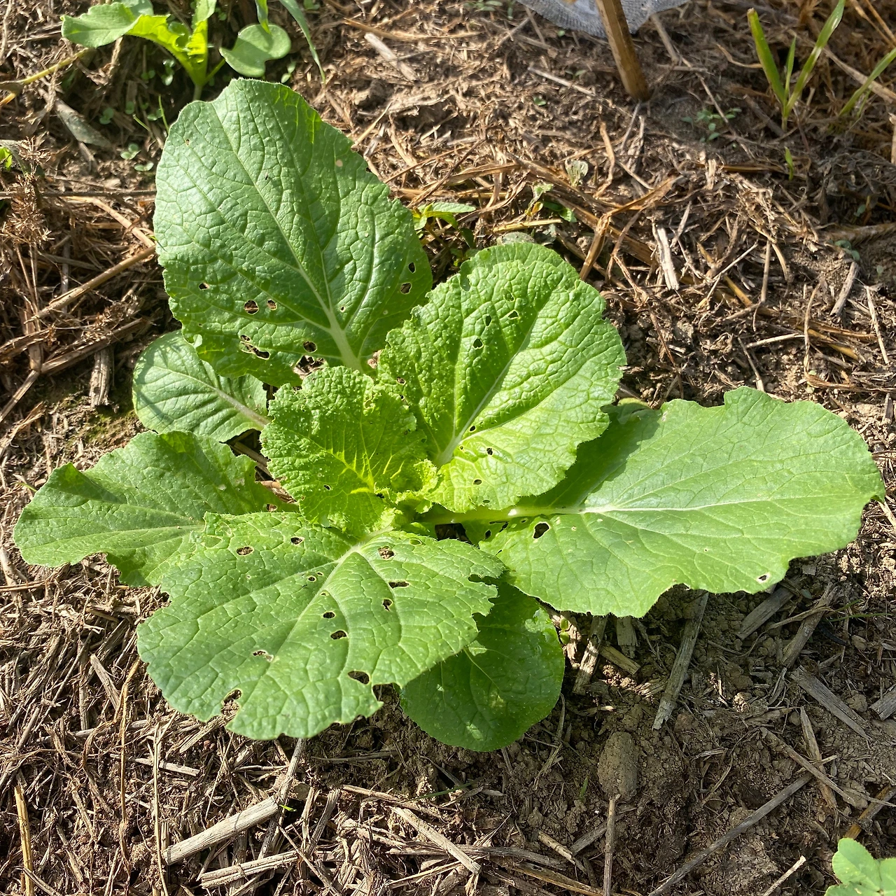 KakaoTalk_Photo_2023-09-11-22-15-05 019.jpeg