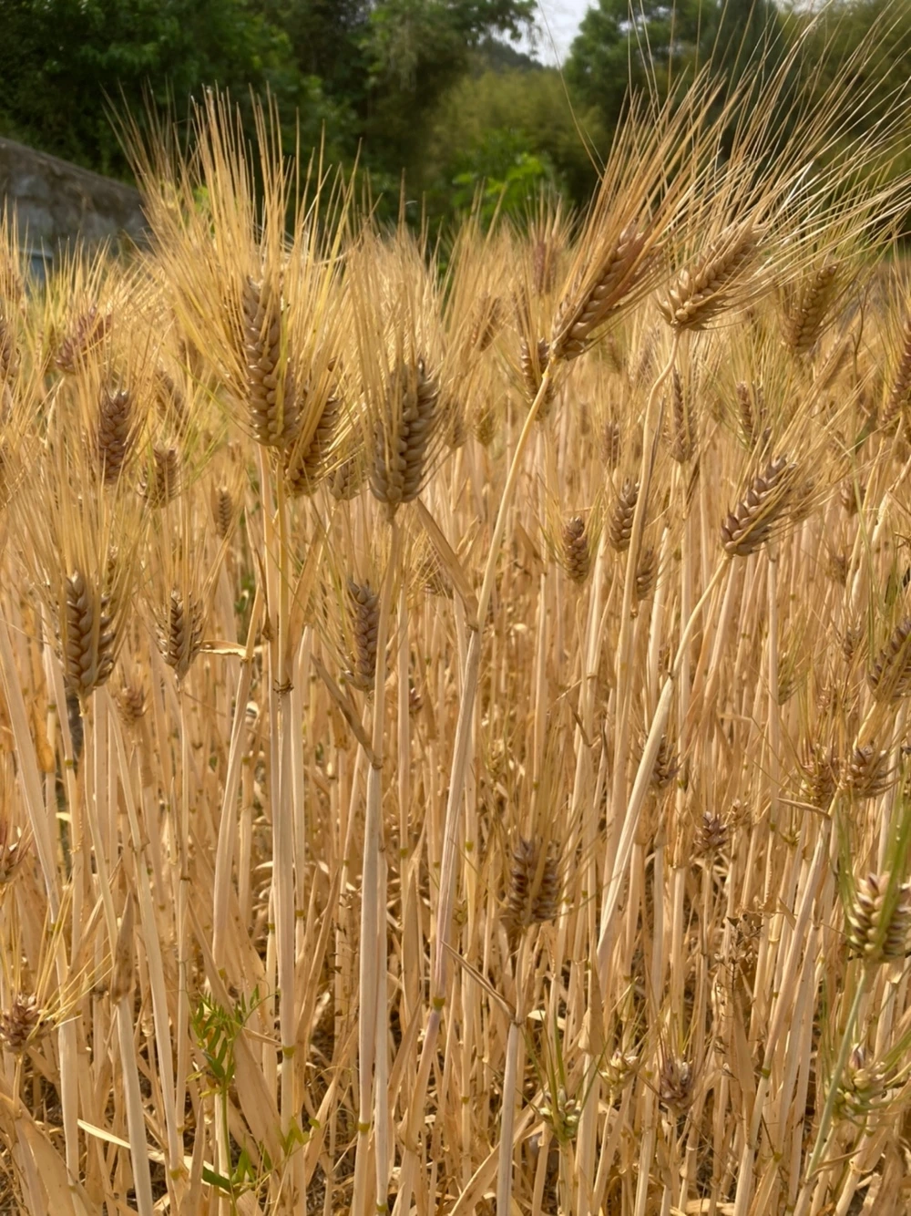 KakaoTalk_Photo_2023-09-18-22-14-47 014.jpeg