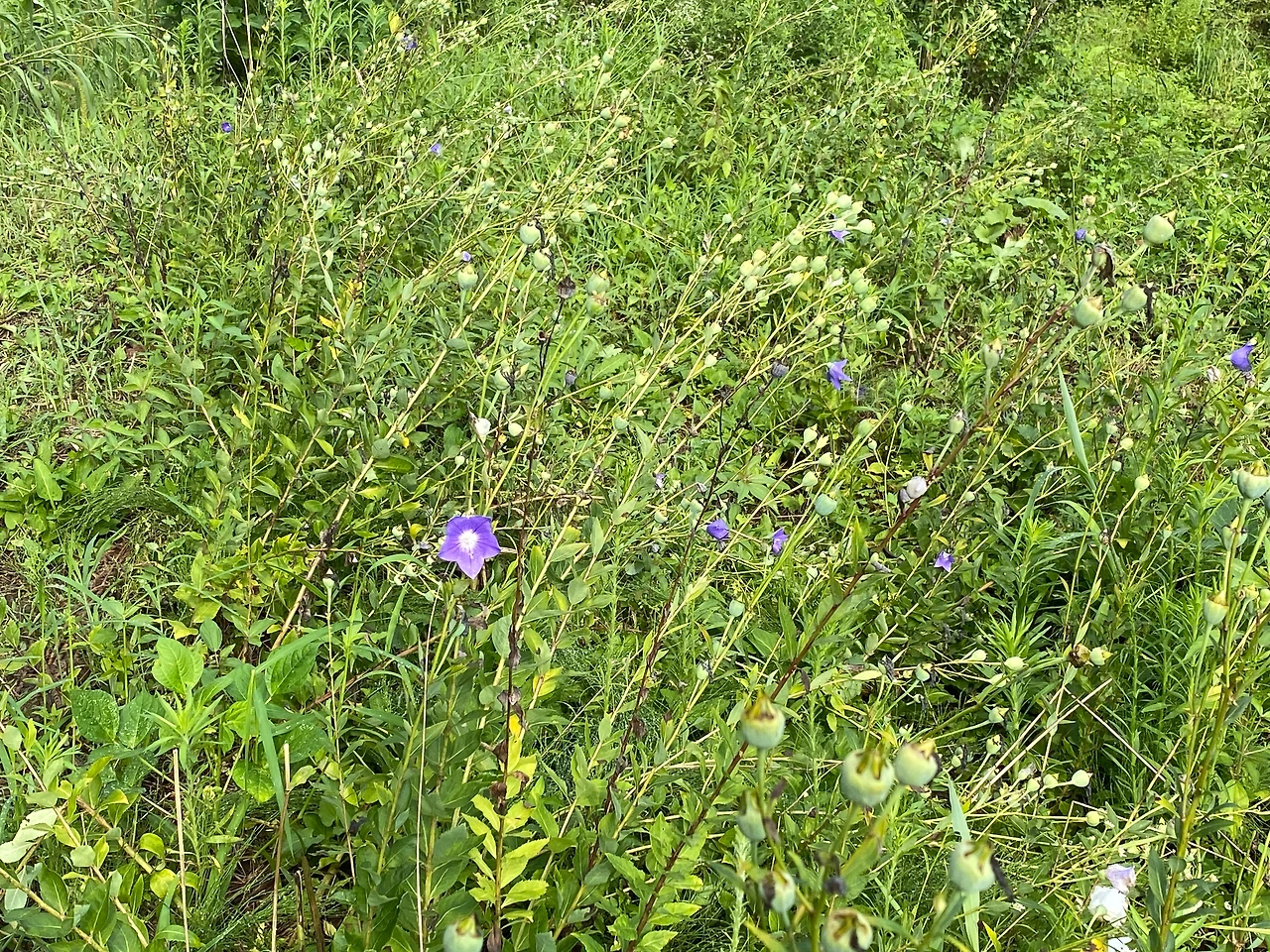 KakaoTalk_Photo_2023-08-13-19-11-41 011.jpeg