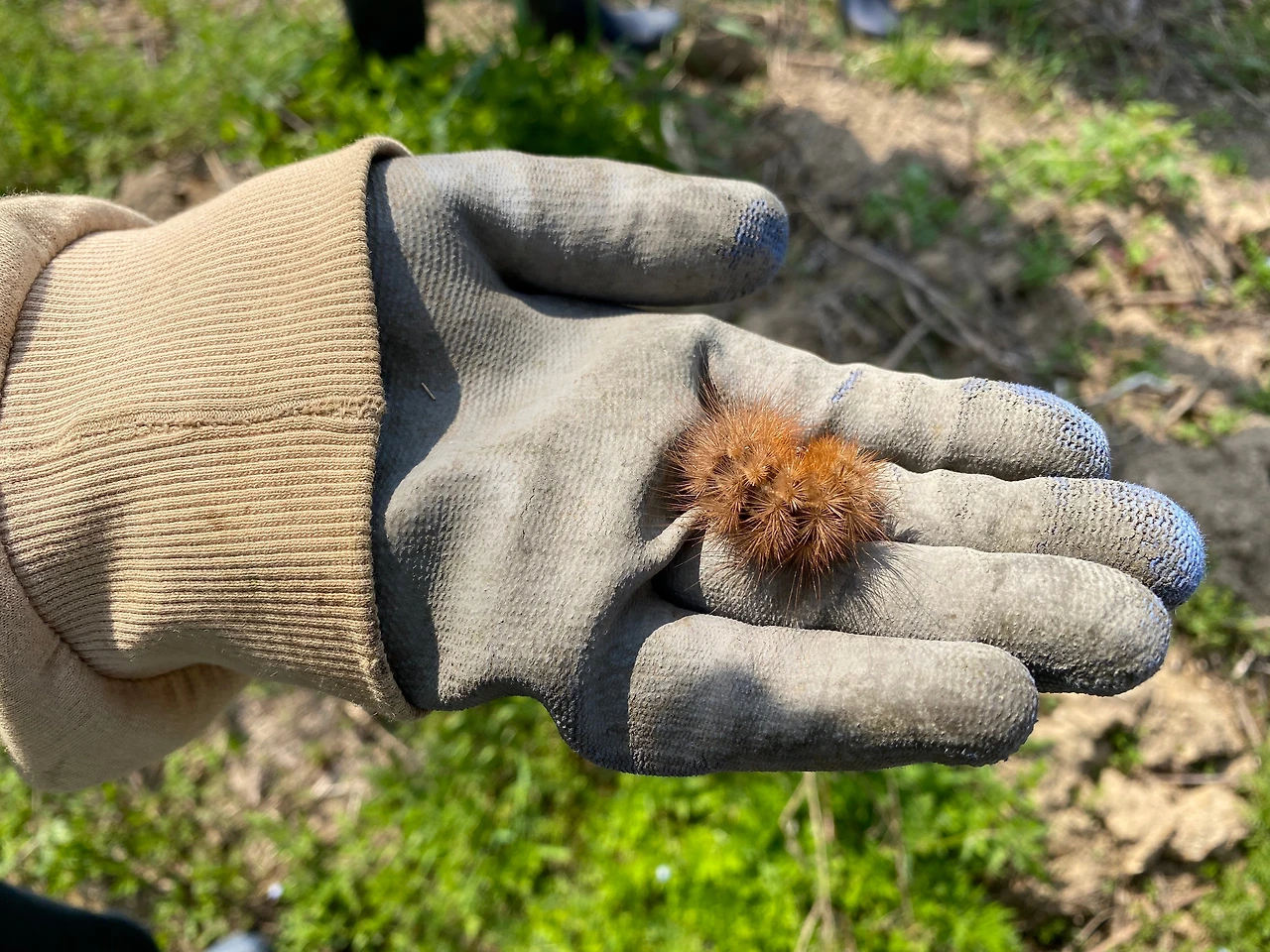 KakaoTalk_Photo_2023-05-14-23-14-53 014.jpeg