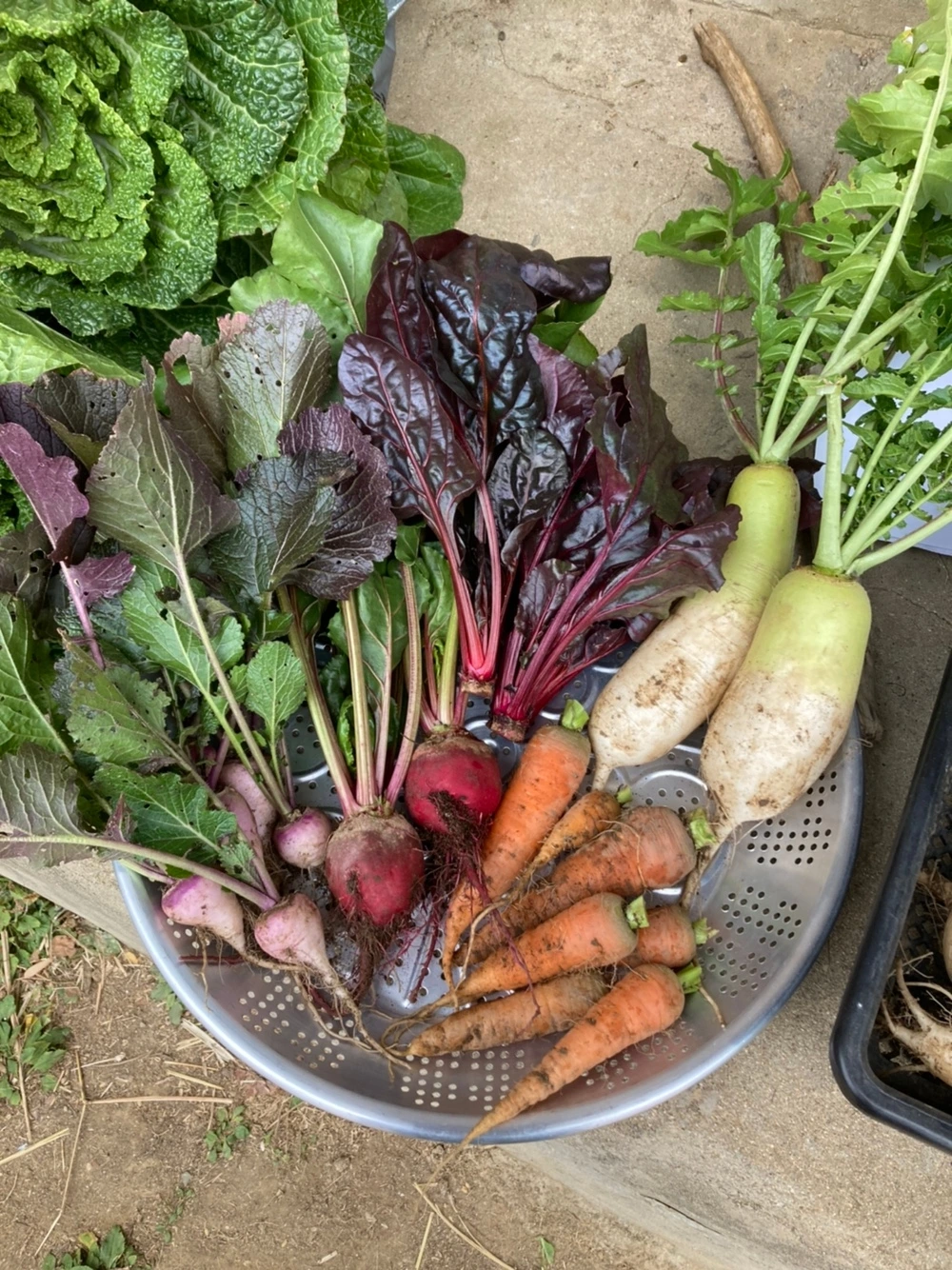 KakaoTalk_Photo_2023-09-18-22-14-45 001.jpeg