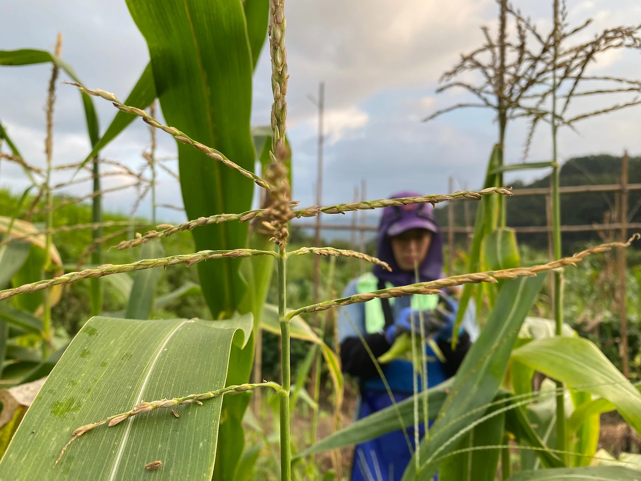 KakaoTalk_Photo_2023-08-29-23-31-46 005.jpeg