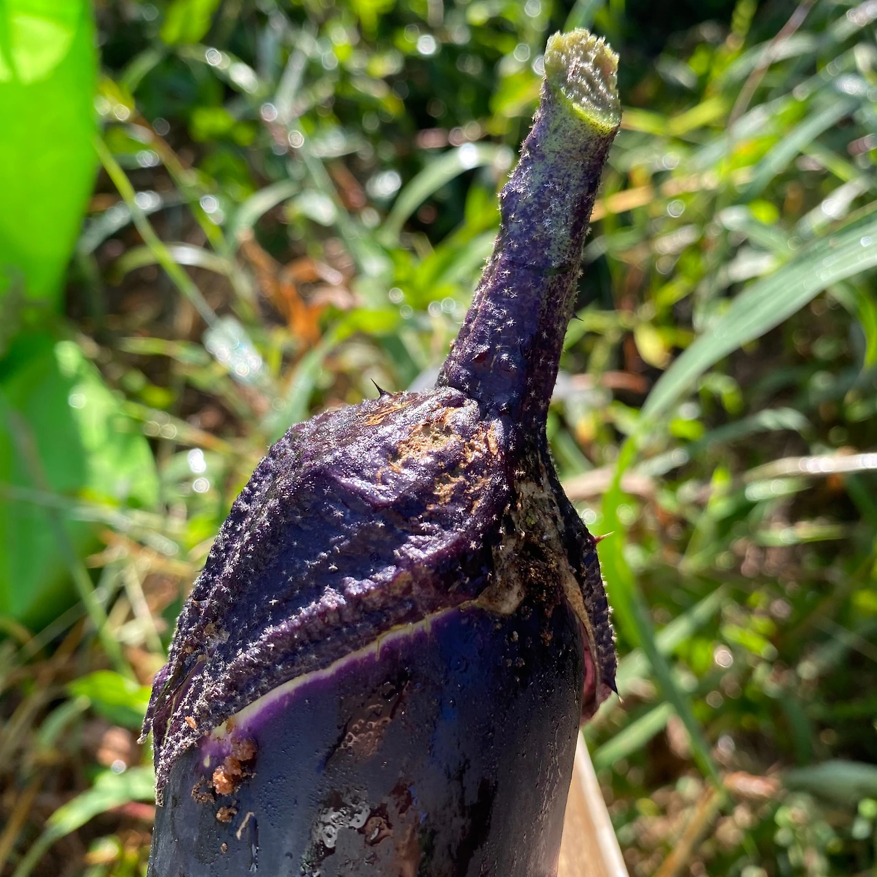 KakaoTalk_Photo_2023-09-11-22-14-59 010.jpeg