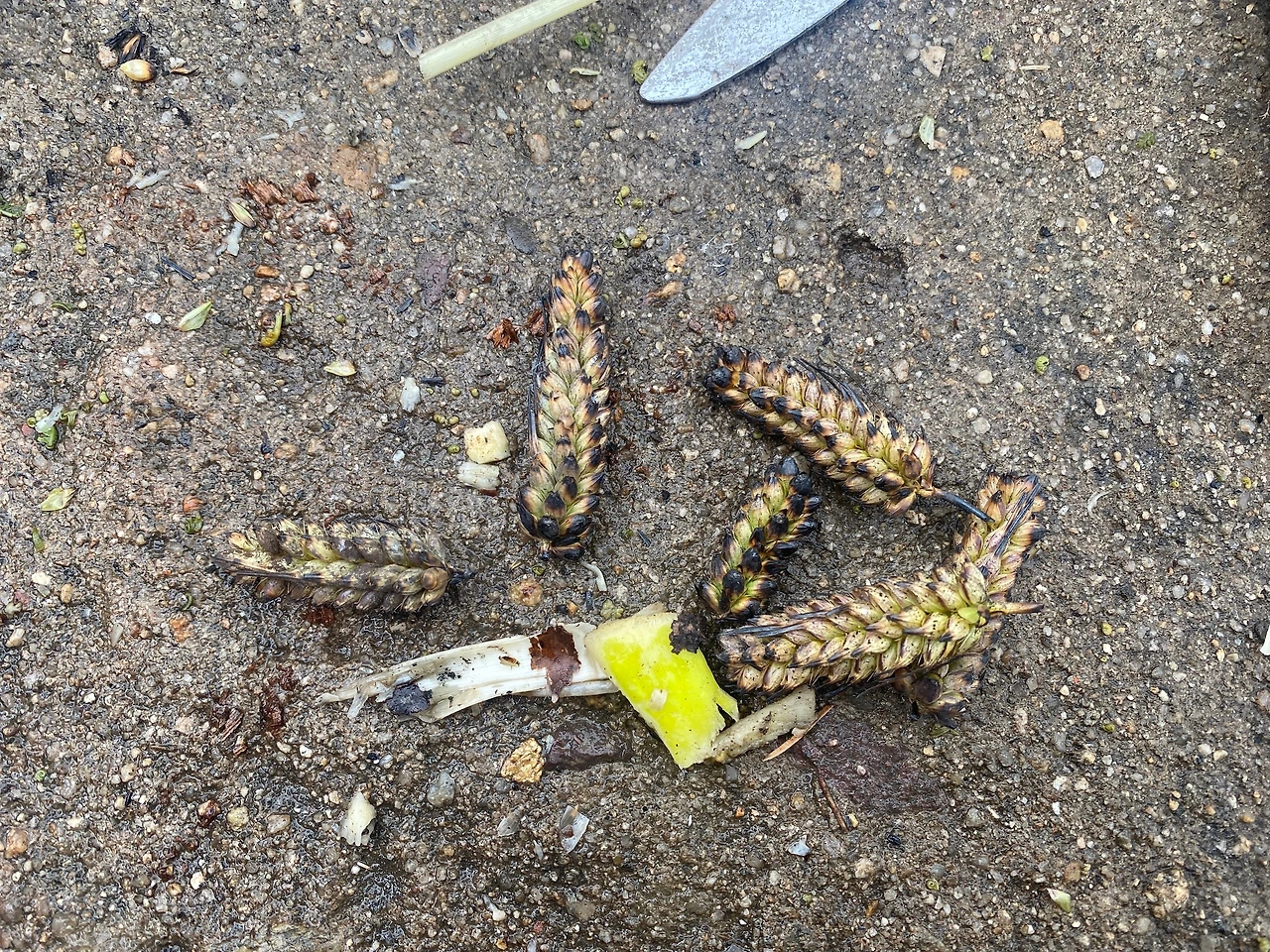 KakaoTalk_Photo_2023-05-28-21-23-50 007.jpeg