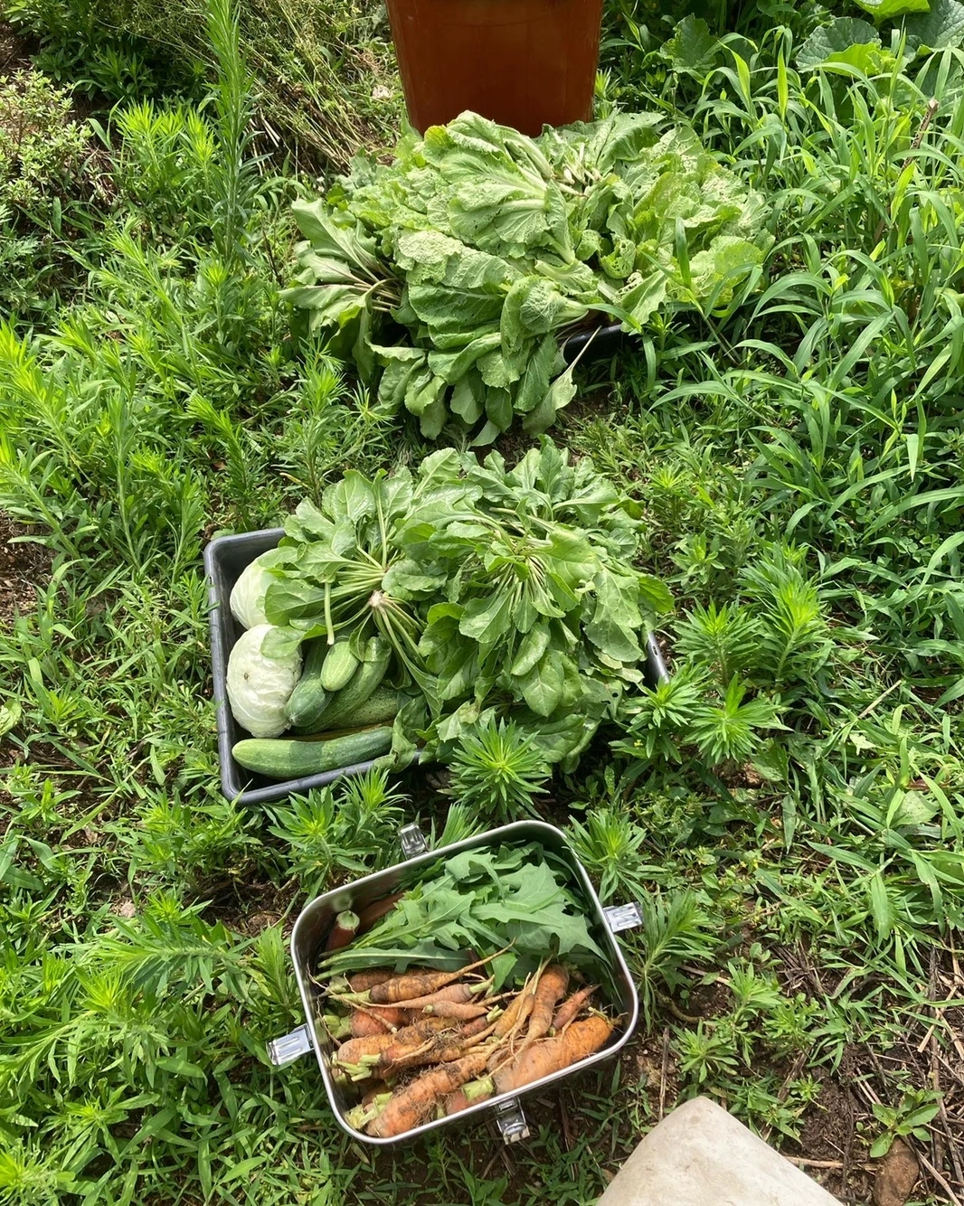 KakaoTalk_Photo_2023-09-18-22-14-47 012.jpeg