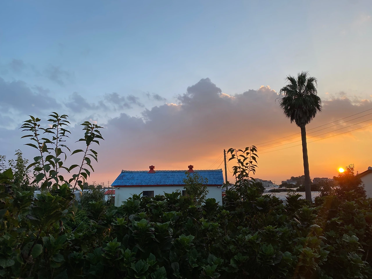 KakaoTalk_Photo_2023-10-02-22-56-33 003.jpeg