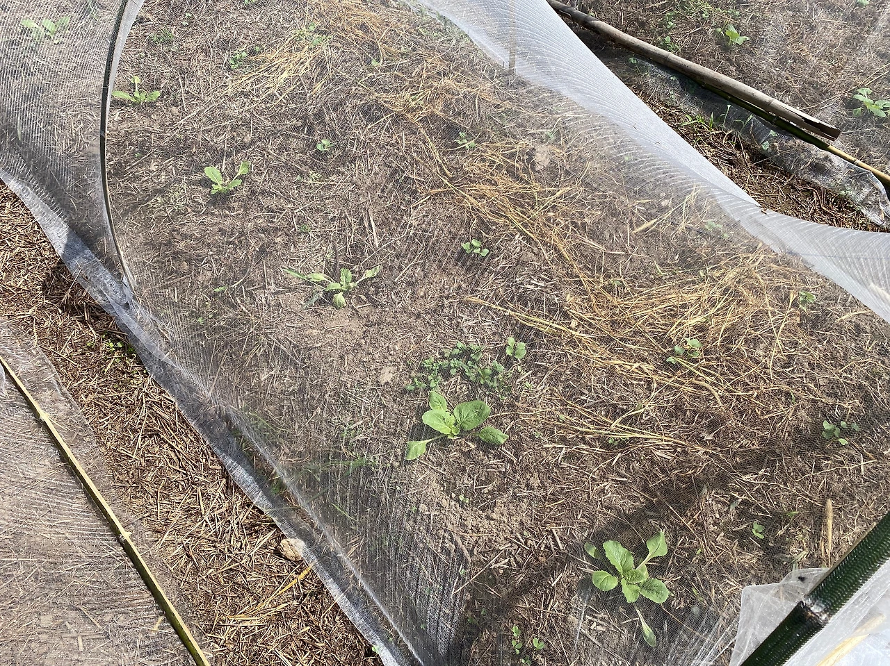 KakaoTalk_Photo_2023-09-11-22-15-03 017.jpeg