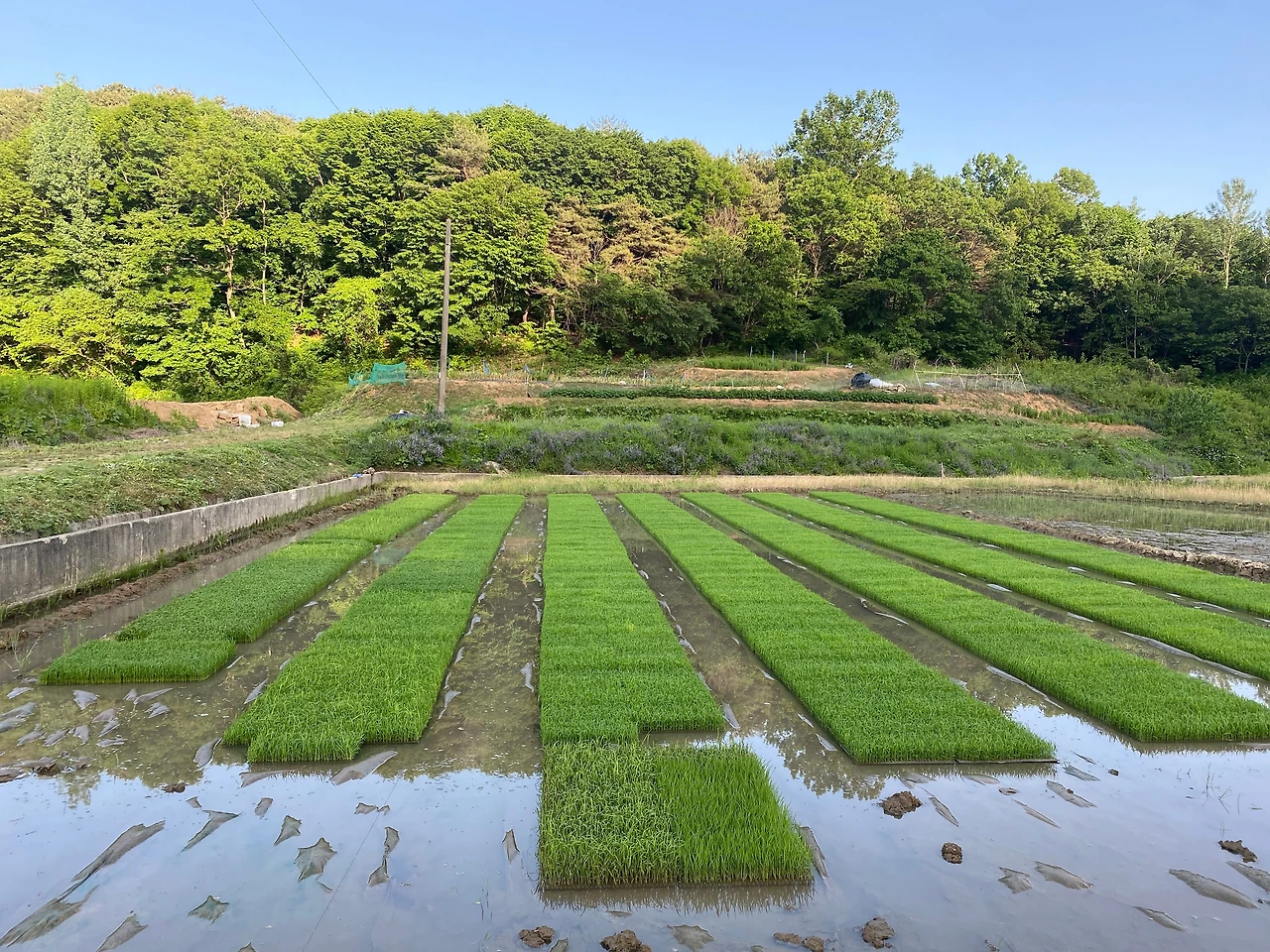 KakaoTalk_Photo_2023-05-28-21-49-50 011.jpeg