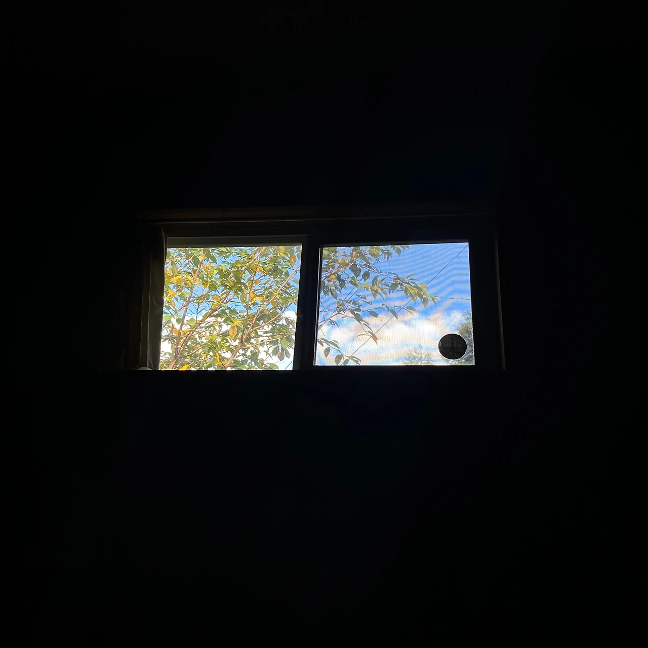 KakaoTalk_Photo_2023-09-11-22-14-56 001.jpeg