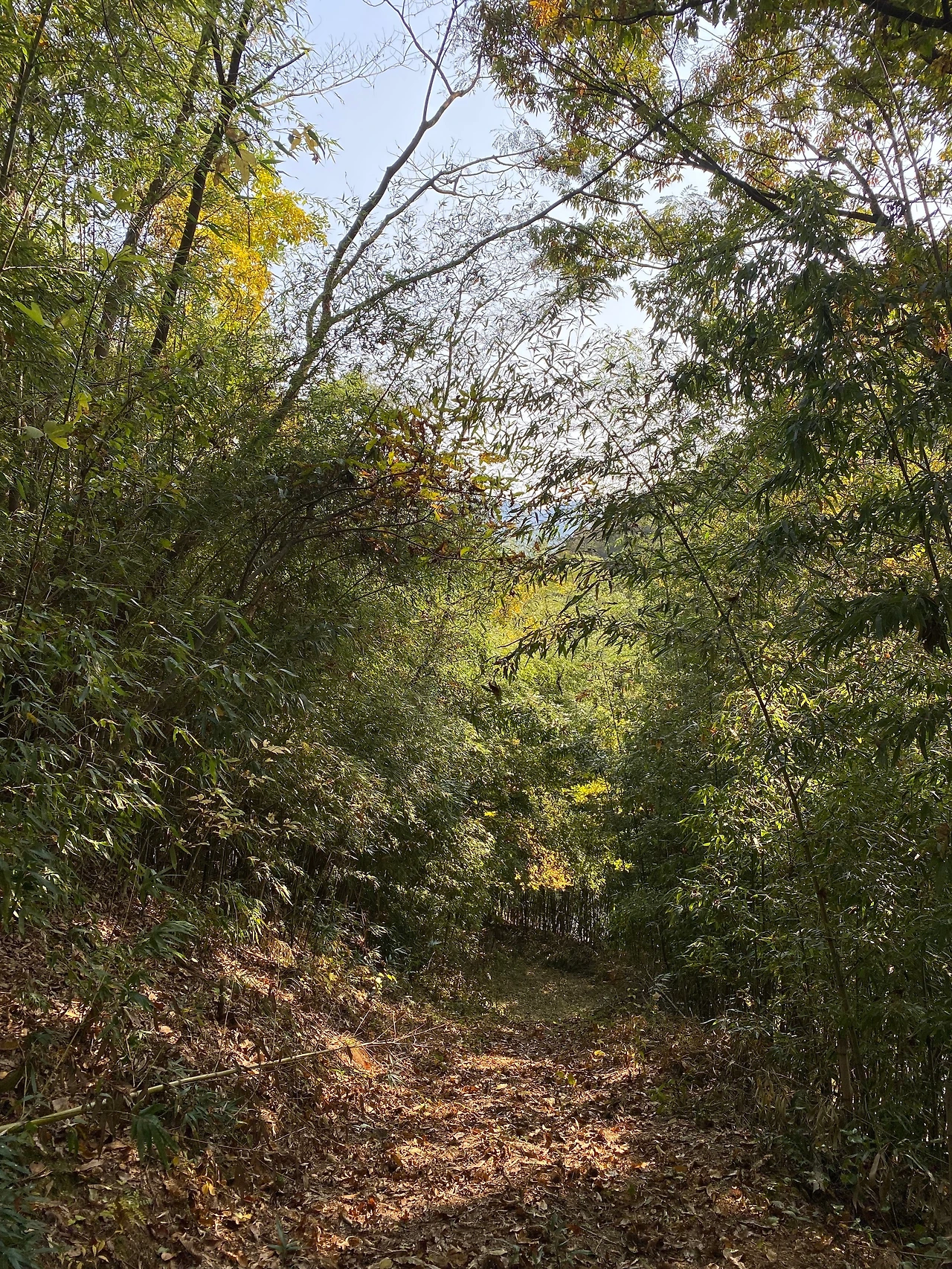 KakaoTalk_Photo_2023-11-22-18-21-36 014.jpeg