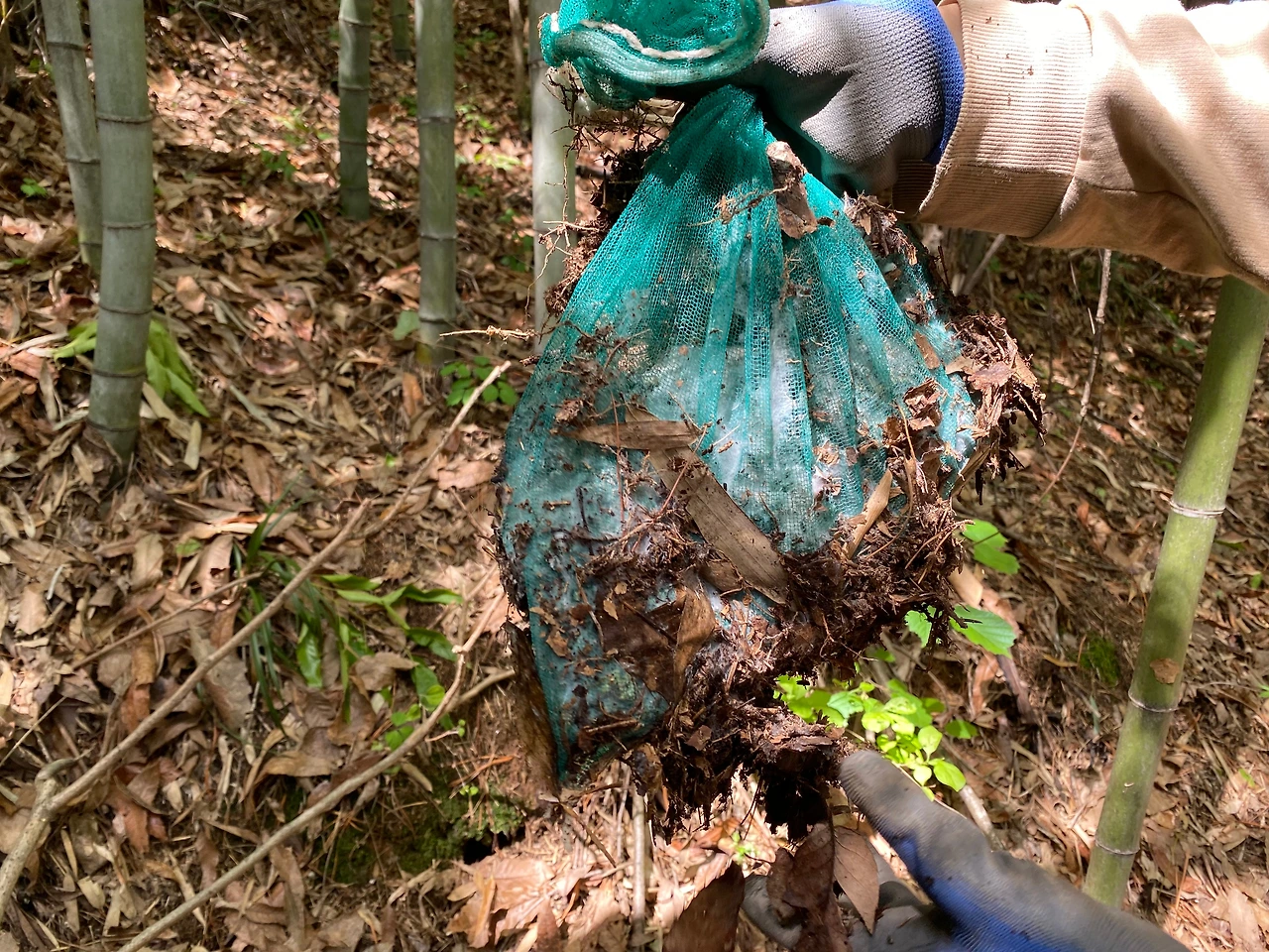 KakaoTalk_Photo_2023-05-14-23-27-55 007.jpeg