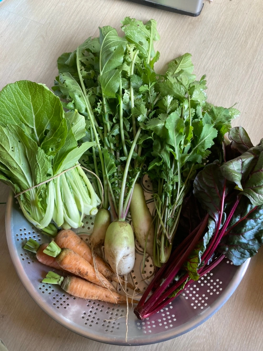 KakaoTalk_Photo_2023-09-18-22-14-46 002.jpeg