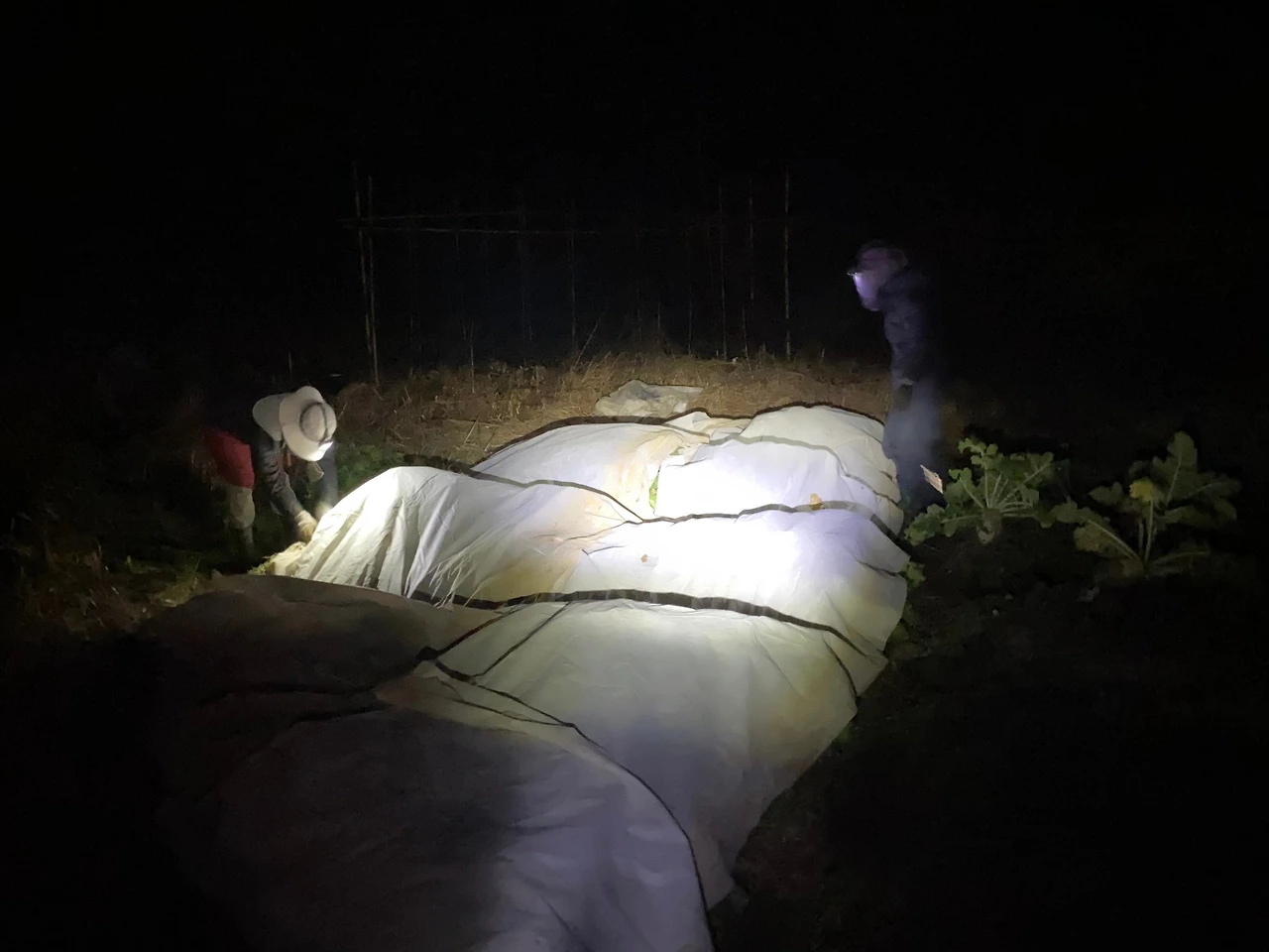 KakaoTalk_Photo_2023-11-22-18-21-32 009.jpeg