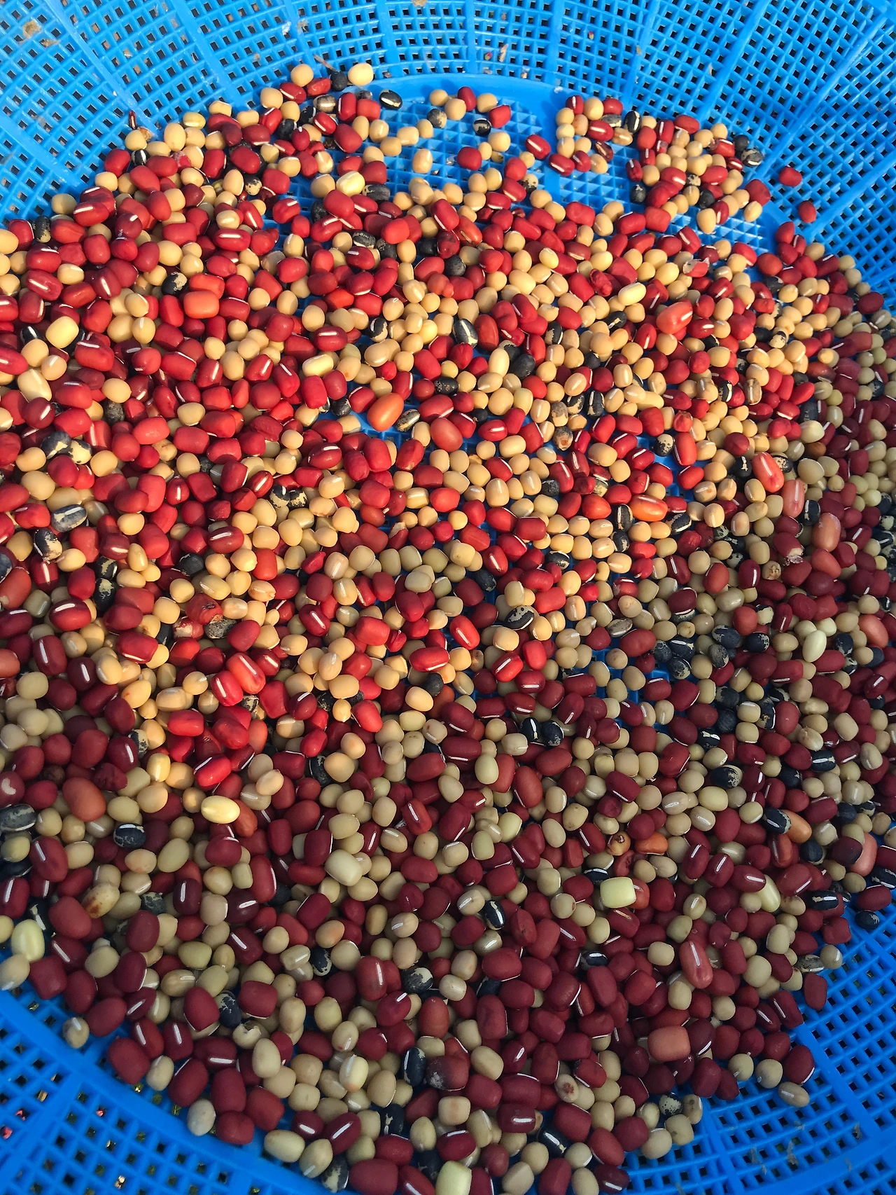 KakaoTalk_Photo_2023-11-22-18-21-43 020.jpeg